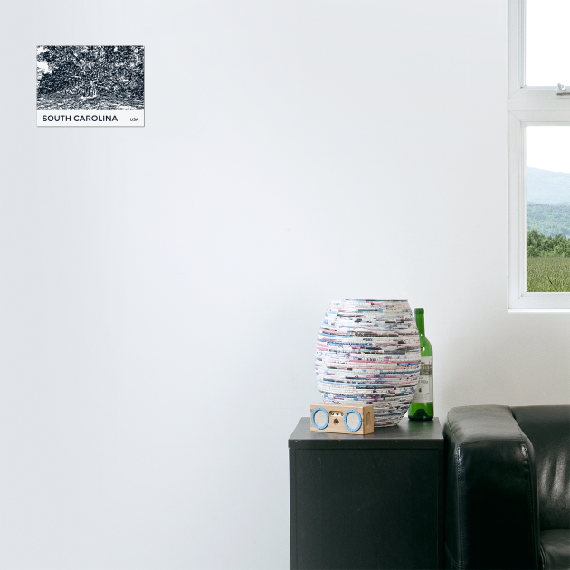 South Carolina USA by Lakeric